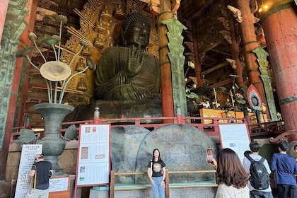 Nara: Les points forts de Nara en 3 heures - Visite privée