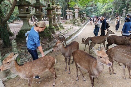 Private 3-Hour UNESCO Heritage Sites & Deer Park Tour
