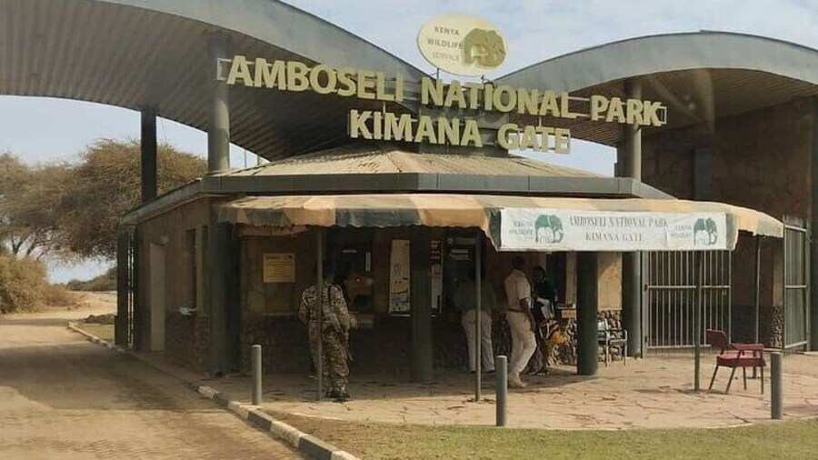 Day Tour to Amboseli National Park