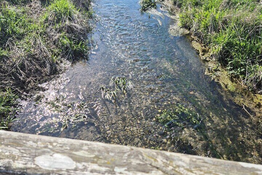 River Kennet
