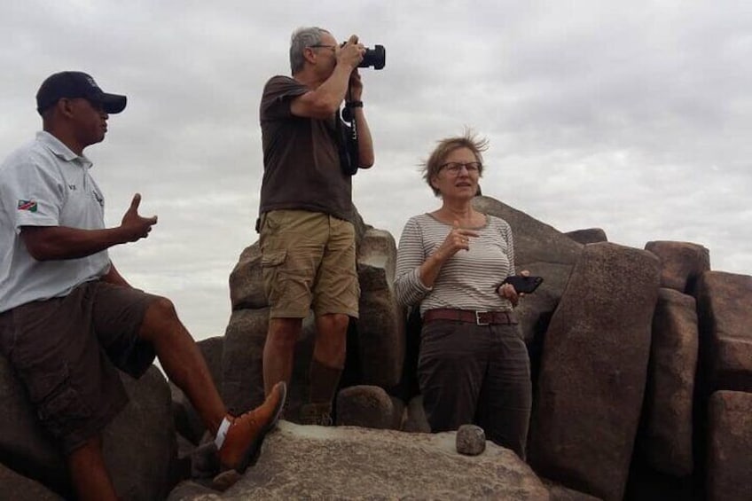 Half-Day Guided Tour to Moonlandscape and Welwitschia Mirabilis 