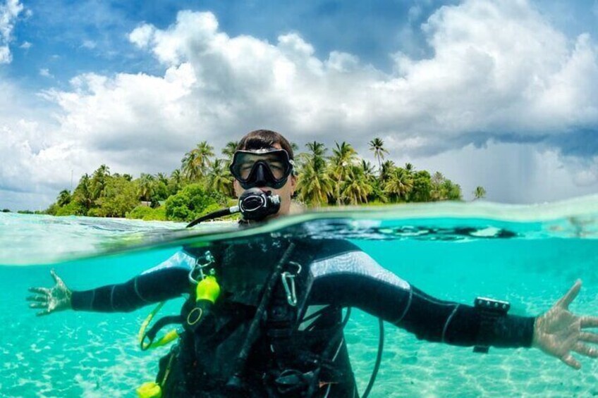 Scuba Diving Catalina Island from Punta Cana