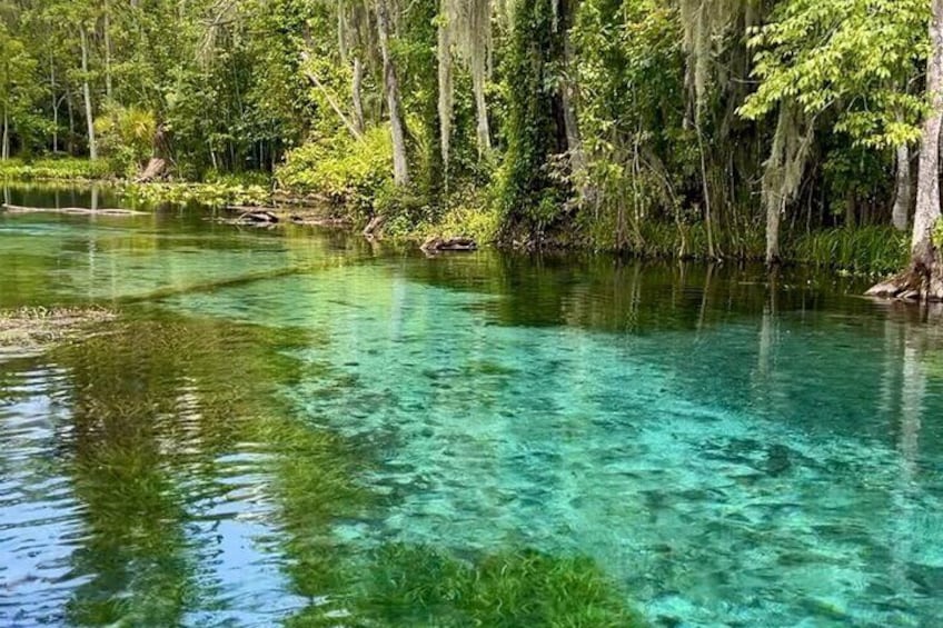 This water is crystal clear 