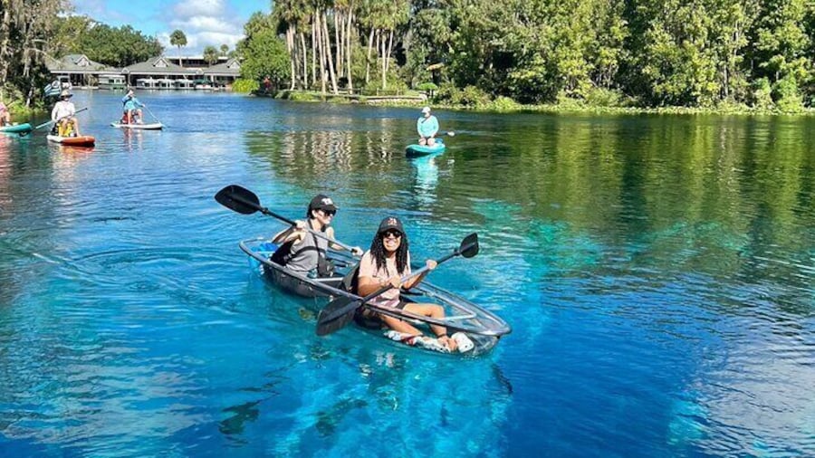 Silver Springs: Clear Kayaking Wildlife Tour