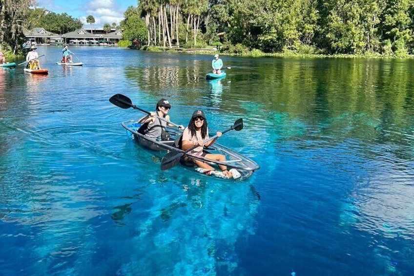 Silver Springs: Clear Kayaking Wildlife Tour