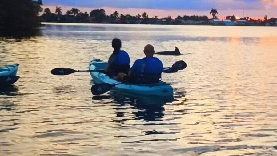 Kayak Tours and Rentals. Dolphins, Manatees, and Bioluminescence!
