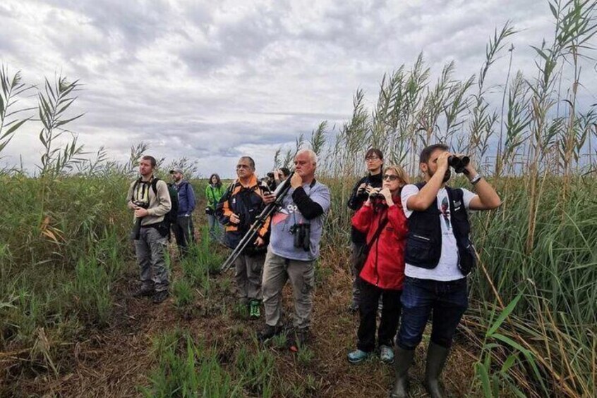 Holistic Immersion in Biosphere Reserve of les Terres de l'Ebre