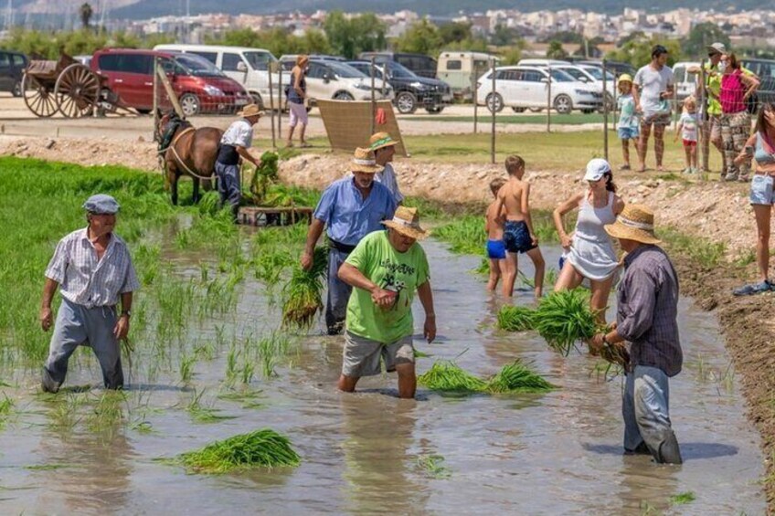 Holistic Immersion in Biosphere Reserve of les Terres de l'Ebre