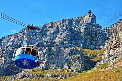Table Mountain Boulder's Beach and Cape Point Tour