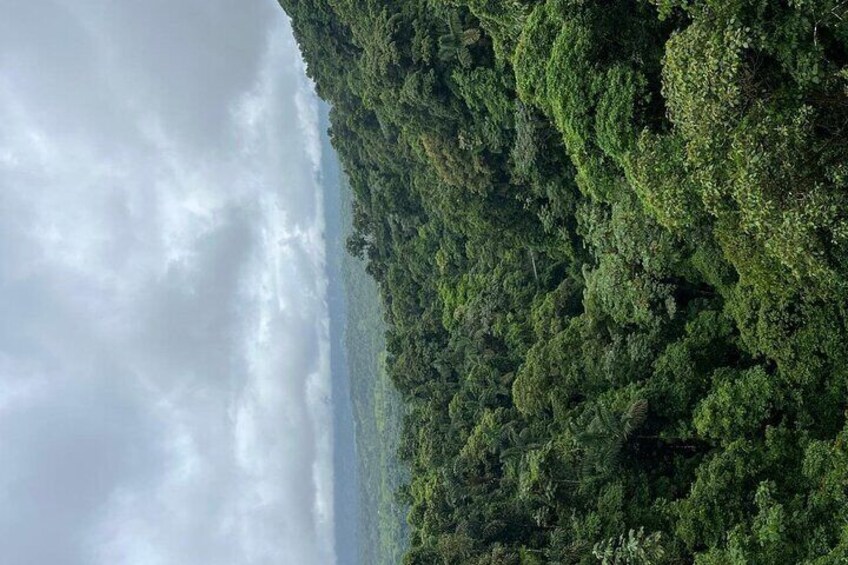 View from the tallest brigde 