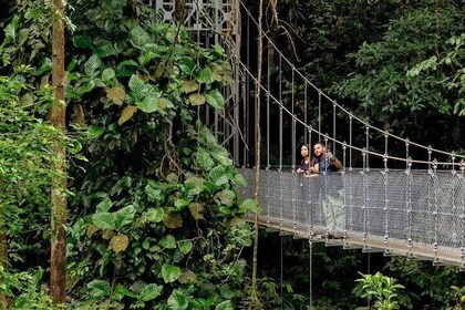 Early morning tour at the hanging bridges.