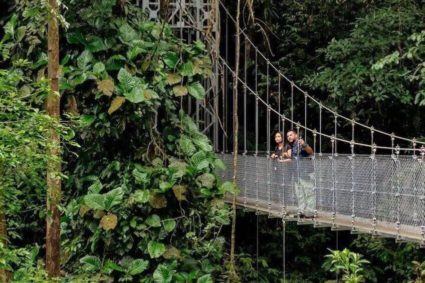 Early morning tour at the hanging bridges.