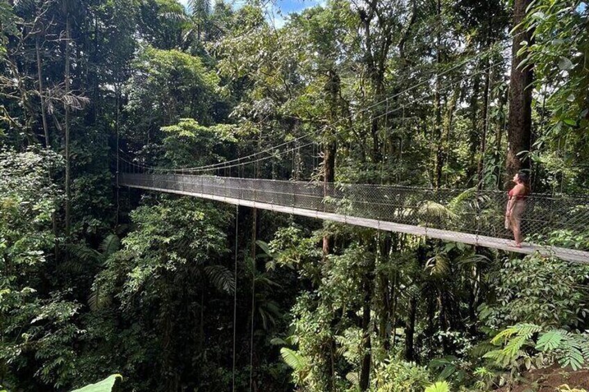 Early morning tour at the hanging bridges.