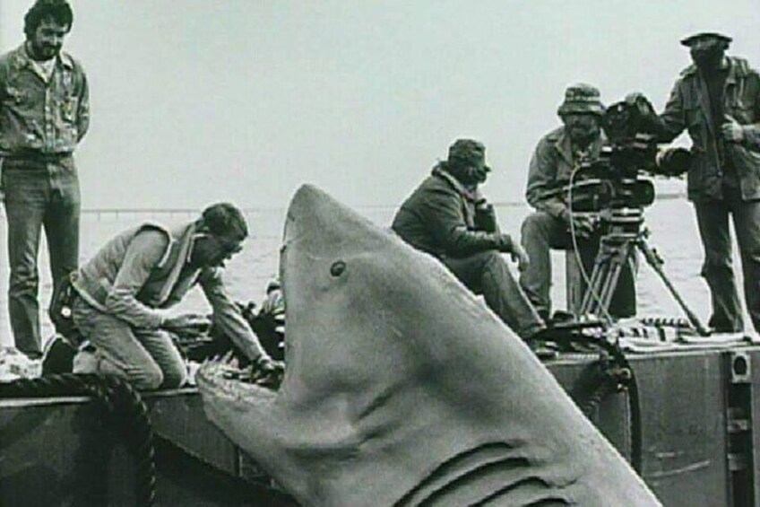 4 hours Hop-on Hop-off Jawsome Jaws Tour