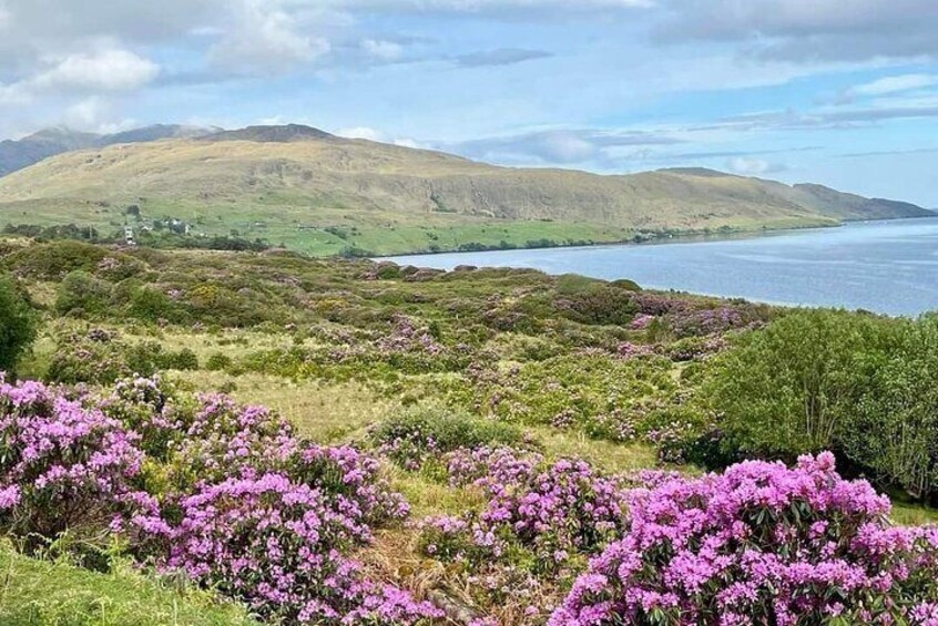 Co Antrim Coast