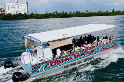 !! Flippers Fun Boat !! Dolphin Adventure Clearwater Beach!