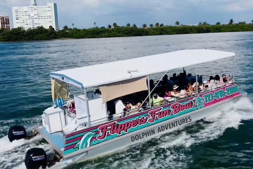 !! Flippers Fun Boat !! Dolphin Adventure Clearwater Beach!