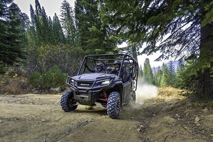 Honda Pioneer 1000-5 Deluxe (Five seat street legal Side by Side)