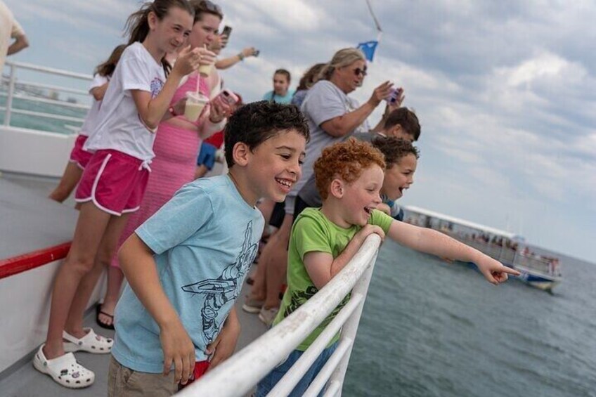 Sunset Dolphin Cruise in Destin