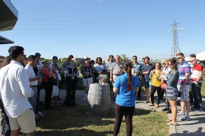 Niagara College Winery