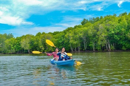 Half Day Mangrove Kayaking Adventure Tour From Koh Lanta