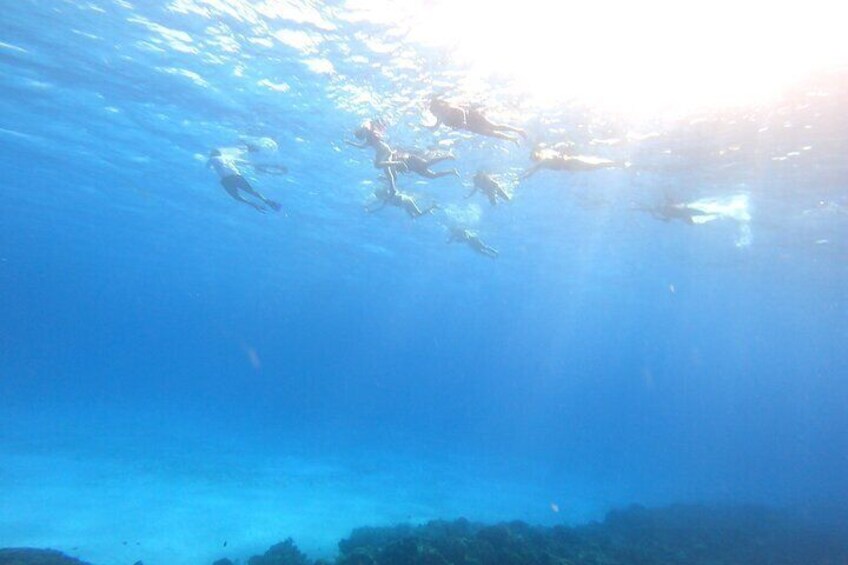 Cozumel Snorkeling Reef Experience with Ceviche and Beers