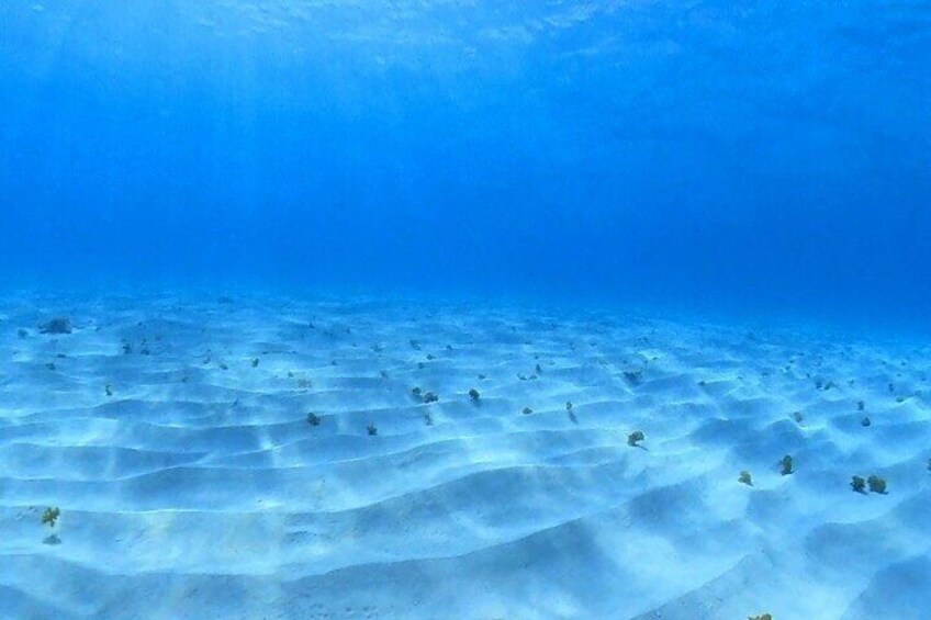 Cozumel Snorkeling Reef Experience with Ceviche and Beers