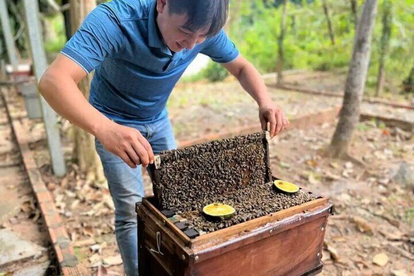 Special Private Land Tour North Phu Quoc Island