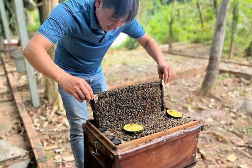 Special Private Land Tour North Phu Quoc Island