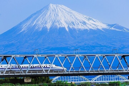 Guided Mt. Fuji & Hakone Tour Bullet Train Return GREEN NUMBER