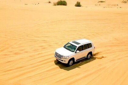 Morning Desert Safari with Quad Biking and Camel Riding in Dubai