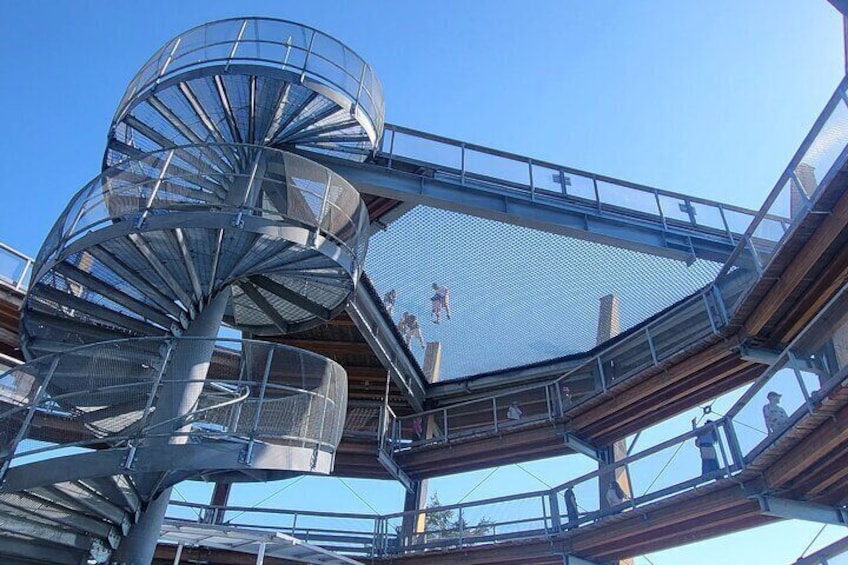 Malahat Skywalk Net and Slide