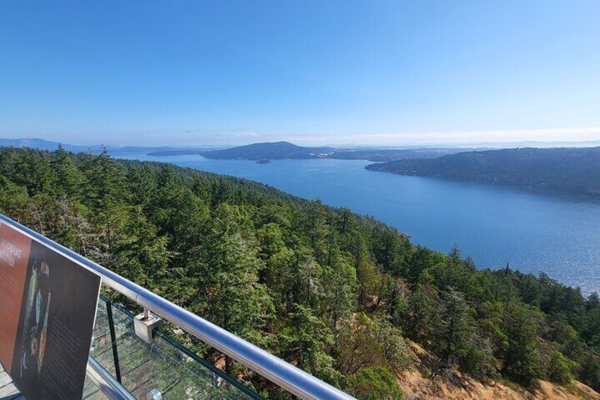 Malahat Skywalk Views