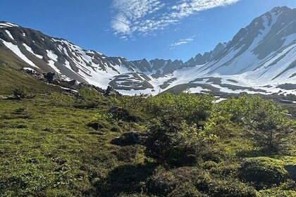 Mount Marathon Bowl Guided Hiking Tour