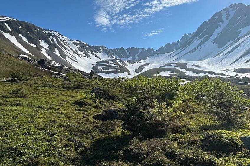 Mount Marathon Bowl Guided Hiking Tour