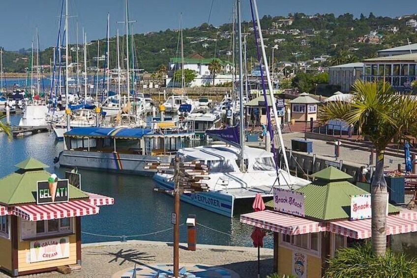 Garden Route 5 Day Hiking & Safari Adventure from Cape Town