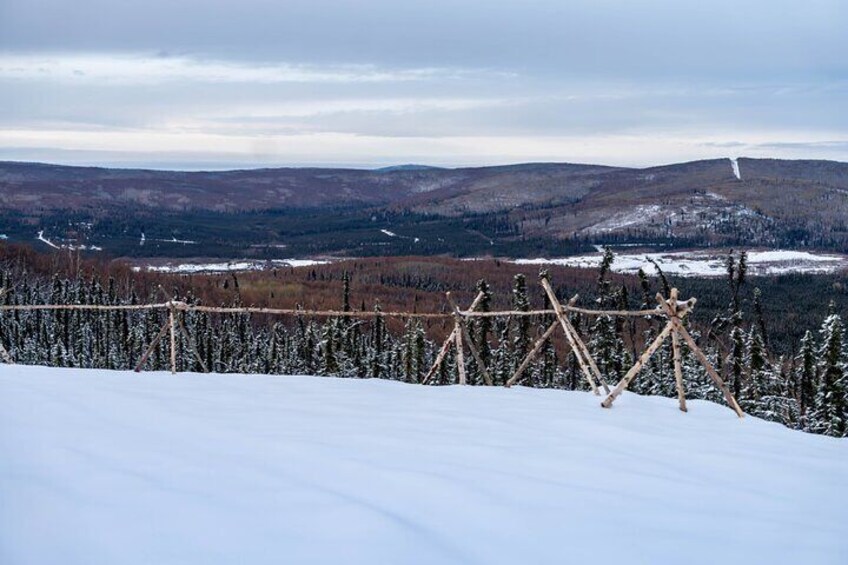 5-Hour Aurora Lodge Viewing with Photography & Transportation