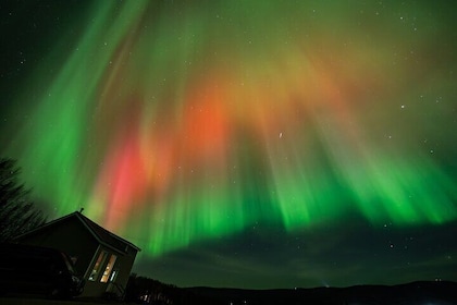 5-Hour Aurora Lodge Viewing with Photography