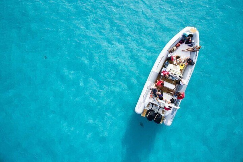 Half Day Dinghy Tour in Asinara Gulf from Stintino