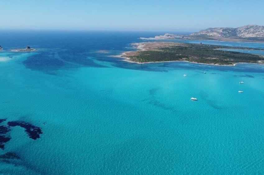 Half Day Dinghy Tour in Asinara Gulf from Stintino