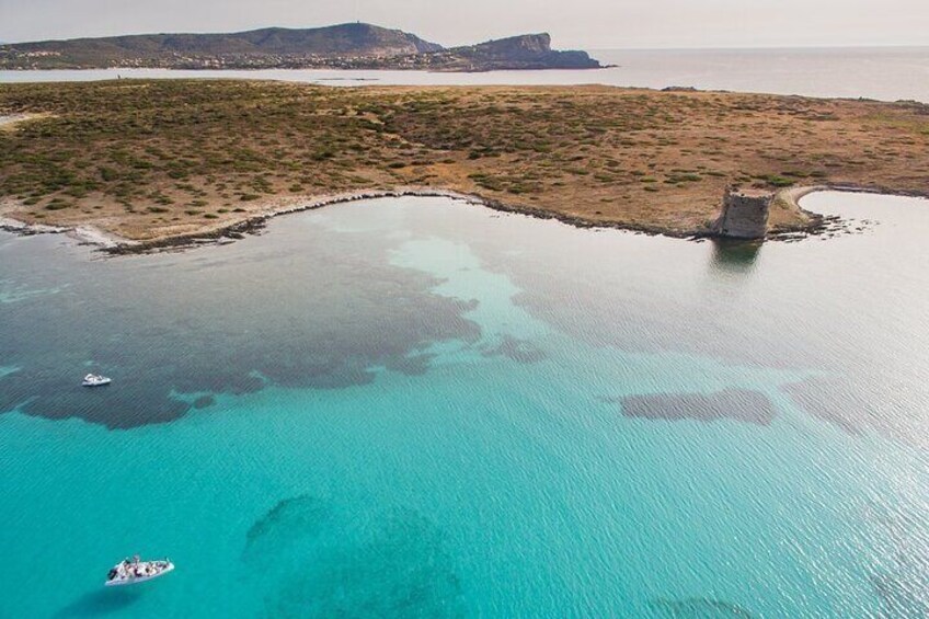 Half Day Dinghy Tour in Asinara Gulf from Stintino