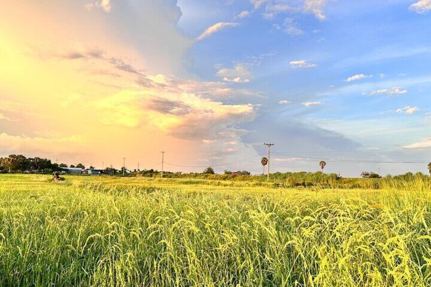 You will view so many rice fields during this journey. 