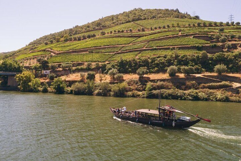 Douro Valley: 2h Rabelo Boat Tour with Wine Tasting & Audio Guide