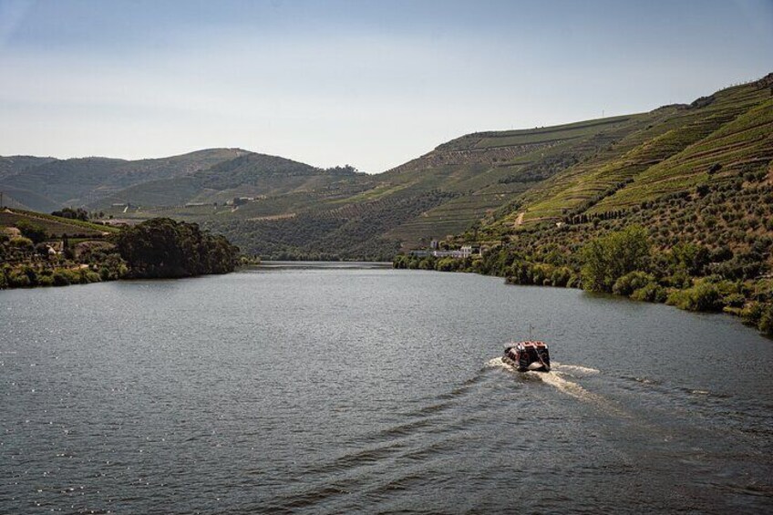 Douro Valley: 2h Rabelo Boat Tour with Wine Tasting & Audio Guide