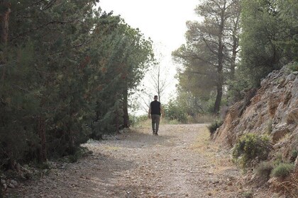 Sunset Hike in Mountains of Athens