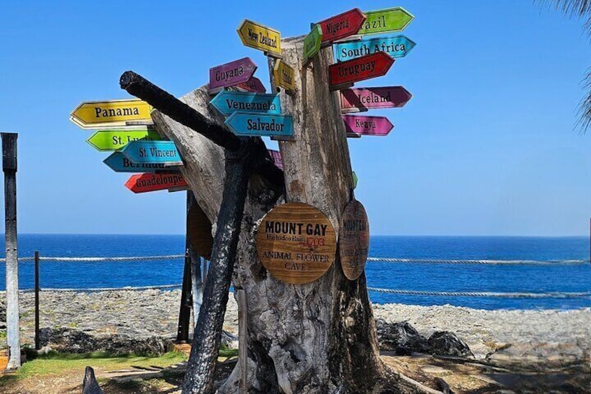 North point 