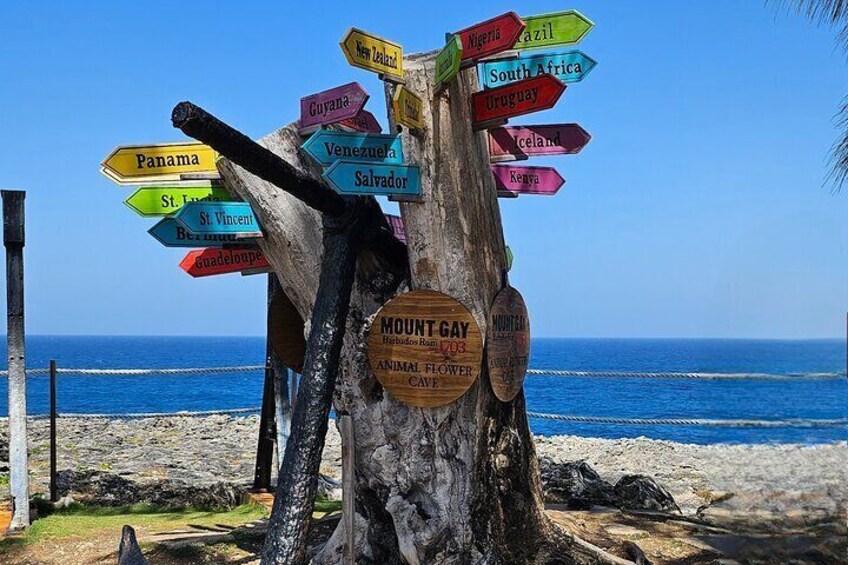 North point