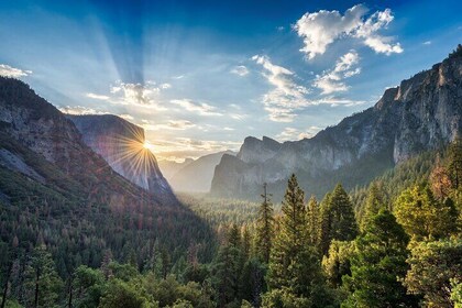 Full-Day Private Guided Yosemite Valley and Glacier Point Tour