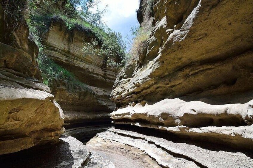 Day Tour to Hells Gate National Park 