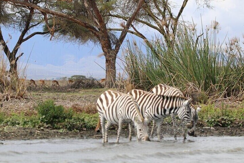 Day Tour to Hells Gate National Park 